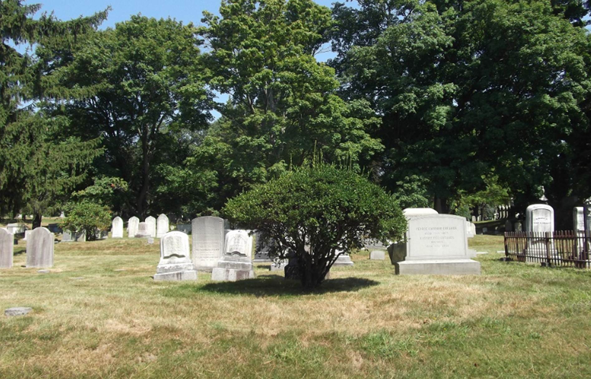 A screenshot of a computer

AI-generated content may be incorrect.